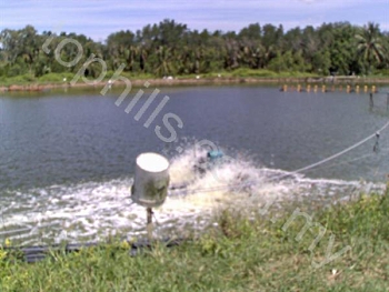 International Real Estate on Johor Fish Farm For Sale   Tophills Realty